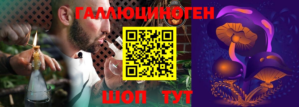 Галлюциногенные грибы GOLDEN TEACHER  Галлюциногенные грибы Psilocybe  Кунгур  Вход с VPN 